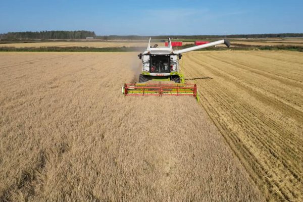 Ilmakuvaa MTY Kokko leikkuupuimurista